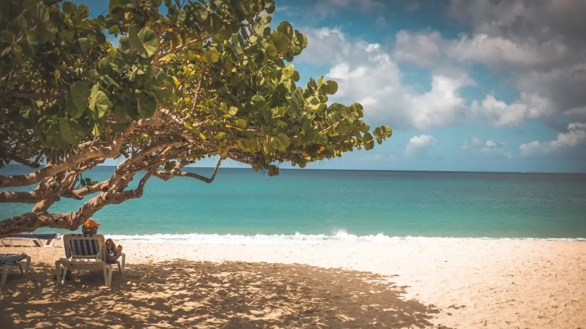 JetBlue reward flights to the Caribbean — tropical beach in Grenada with palm shade